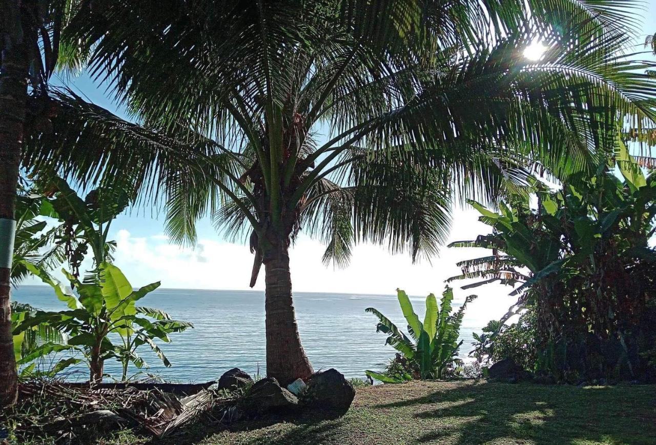 L'Auberge De Jeunesse Tahiti Iti - Beach Hostel Afaahiti Dış mekan fotoğraf