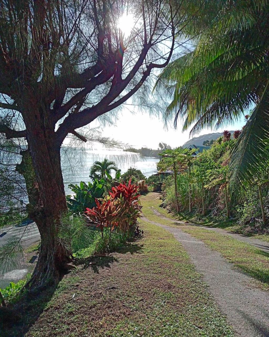 L'Auberge De Jeunesse Tahiti Iti - Beach Hostel Afaahiti Dış mekan fotoğraf