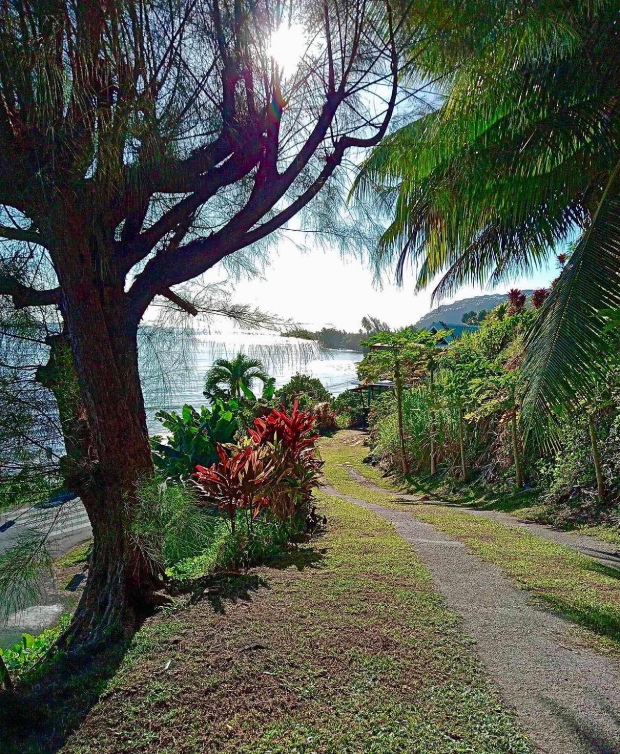 L'Auberge De Jeunesse Tahiti Iti - Beach Hostel Afaahiti Dış mekan fotoğraf