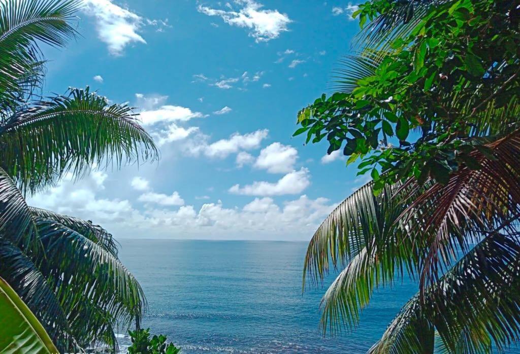 L'Auberge De Jeunesse Tahiti Iti - Beach Hostel Afaahiti Dış mekan fotoğraf